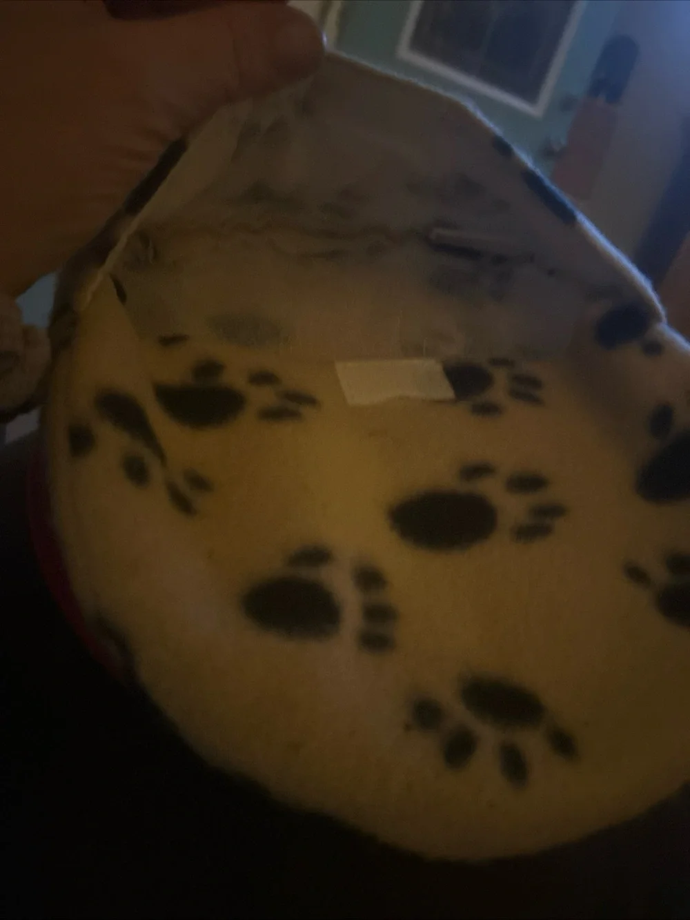 Pet heating pad microwave